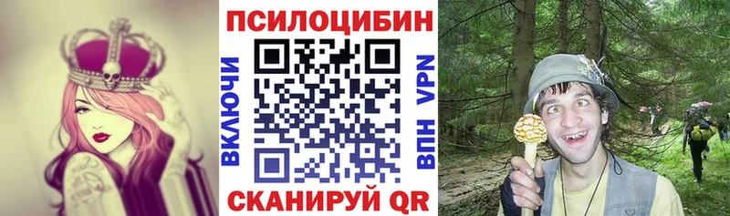 МЕГА как войти  Дюртюли  Псилоцибиновые грибы Psilocybine cubensis  наркотики 