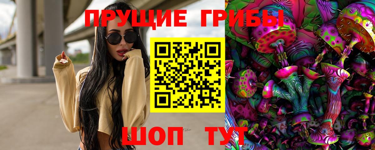 Псилоцибиновые грибы Psilocybe Дюртюли
