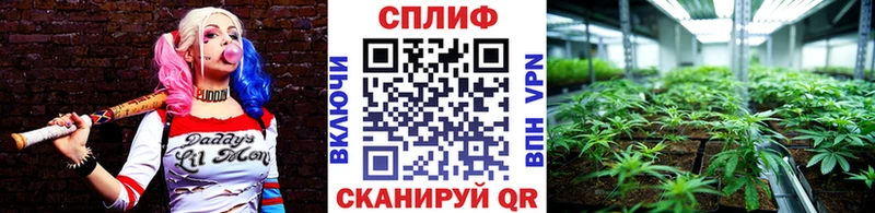 Канабис тримм  сколько стоит  гидра ССЫЛКА  Дюртюли 